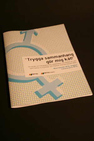 Rapporter / Forskning och Studier - Studien "Trygga sammanhang gör mig kåt!"