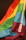 Regnbågsflagga - bild 2
