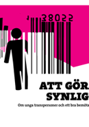 Att göra synligt - om unga transpersoner och bra bemötande